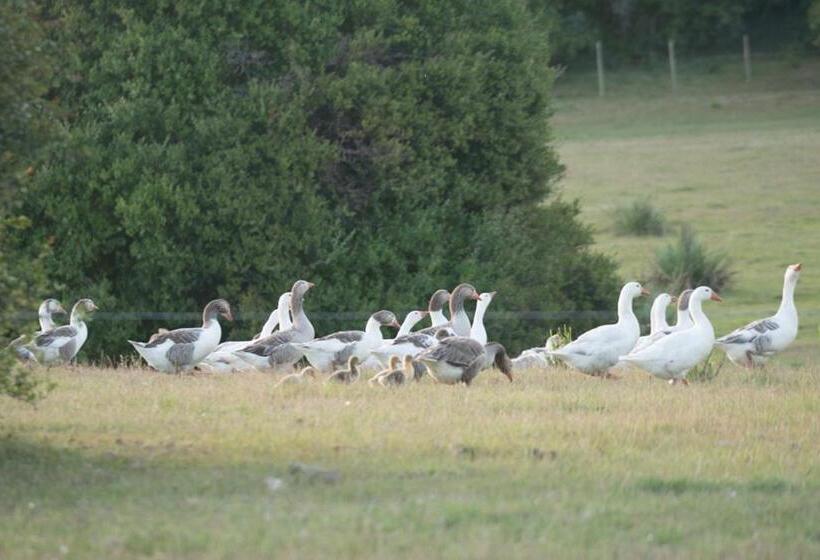 هتل Estancia La Pilona