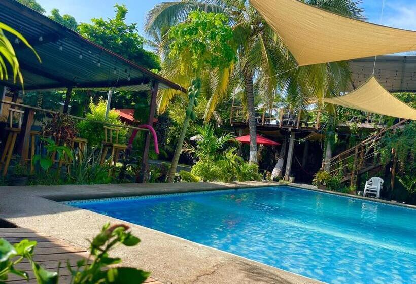酒店 Hostal Copacabana Sv
