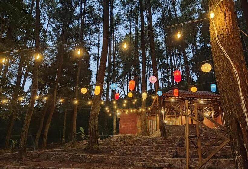 ホテル The Nest Glamping