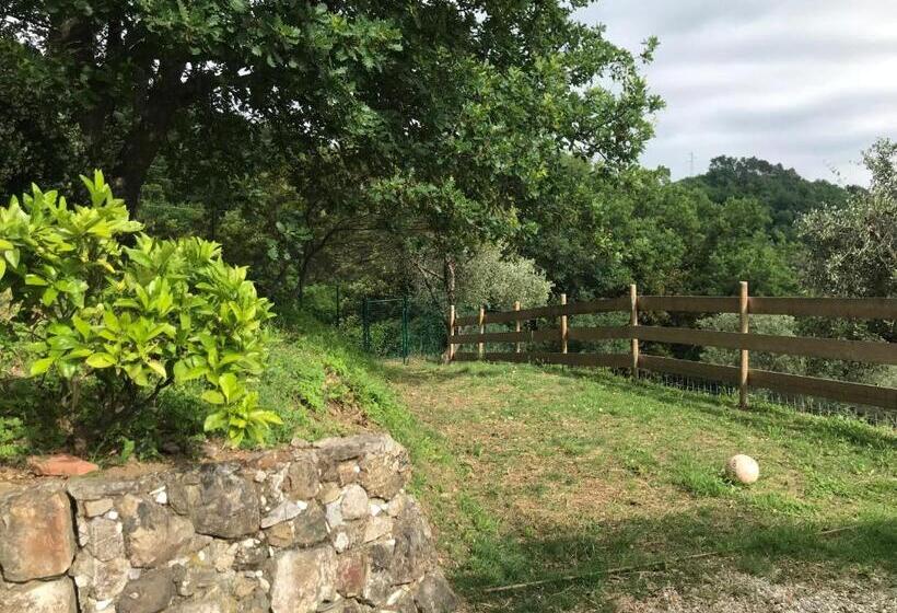 펜션 Affittacamere St Roch   Colazione, Bagno Annesso E Giardino   La Spezia