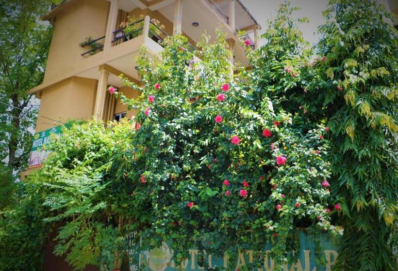 펜션 Nikunj Safari Guest House Sauraha  A Place Where You Can Book Jungle Wildlife Safari