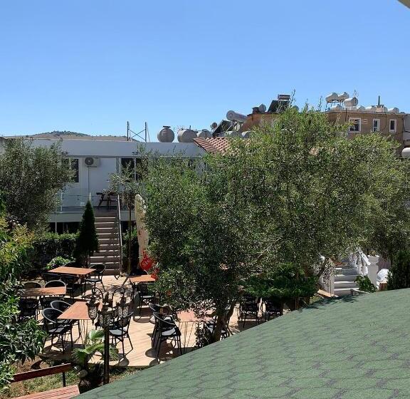 پانسیون Oxhaku Guest House