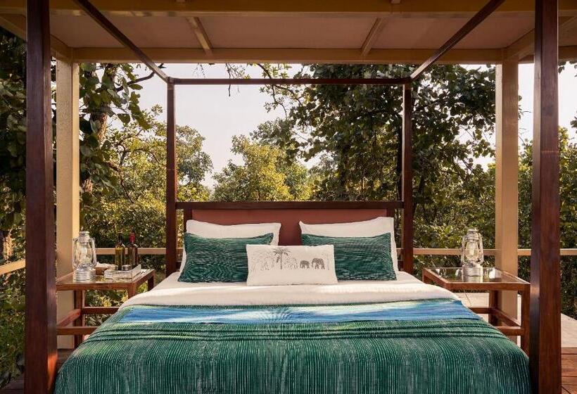 渡假胜地  Bagh Tola, Bandhavgarh Tiger Reserve