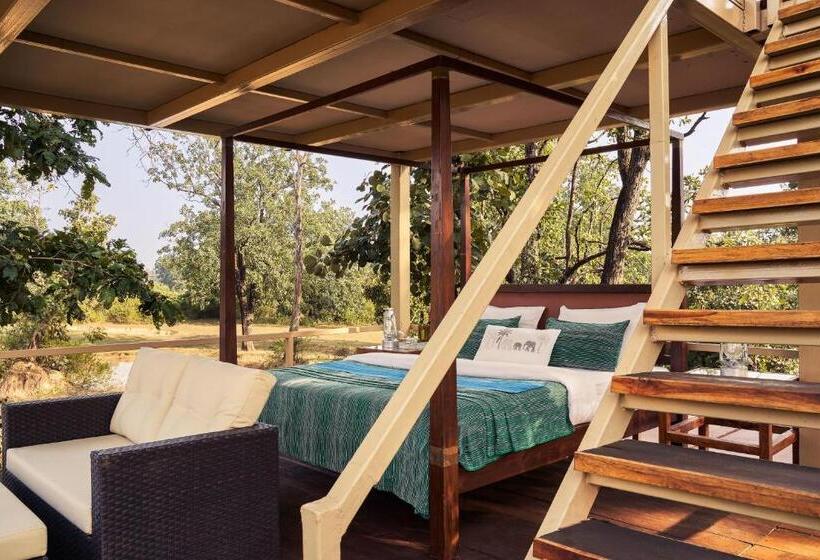 渡假胜地  Bagh Tola, Bandhavgarh Tiger Reserve