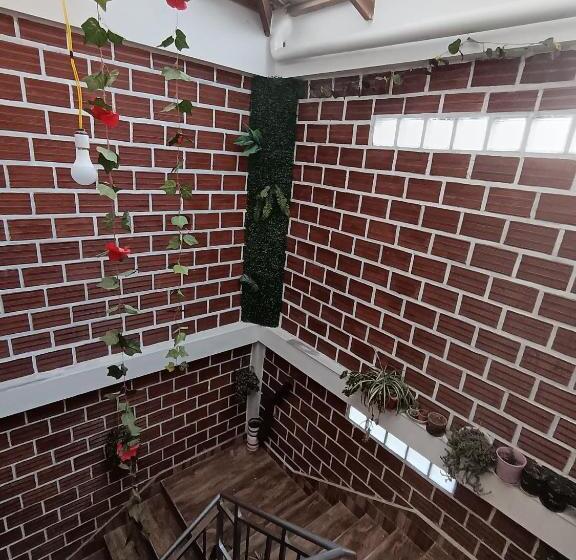 هاستل Casa Qura Qura