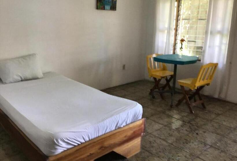 هاستل Palmera Rooms Caribe