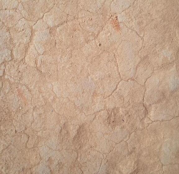 Bed and Breakfast Snowflake Adventure