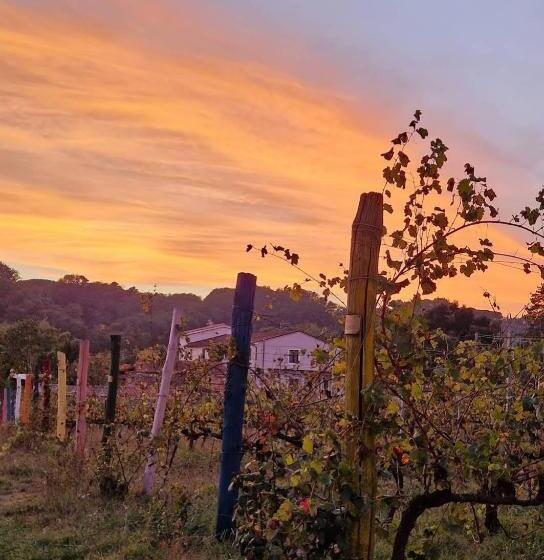 تختخواب و صبحانه Wine House