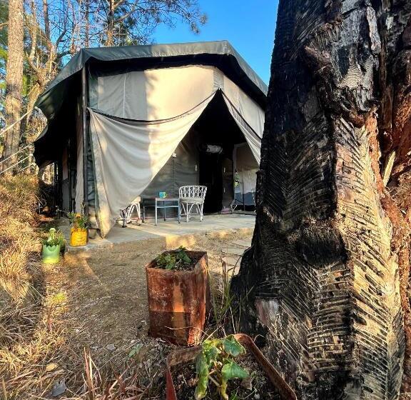 فندق Glampinn Woods