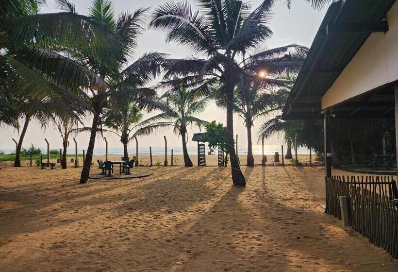 Отель Ocean Villa
