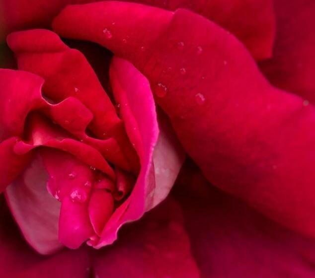 펜션 Il Rifugio Delle Rose