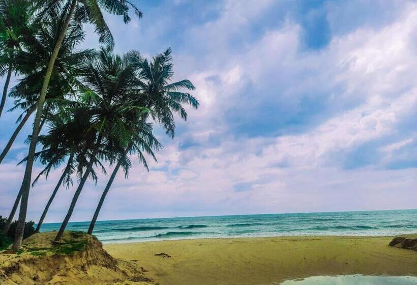 펜션 Queen S Villa