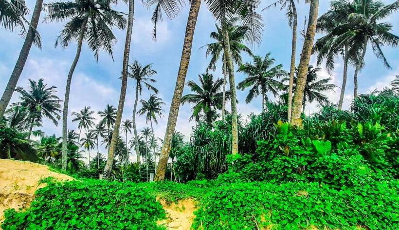 펜션 Queen S Villa