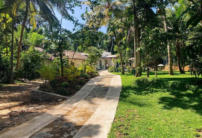 펜션 Queen S Villa