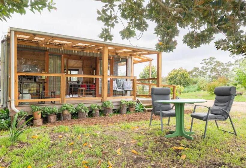 住宿加早餐  It S Bonza! At Mill About Vineyard