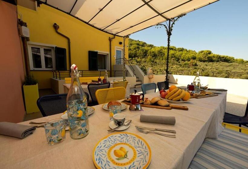 مبيت وإفطار Muri Vecchi