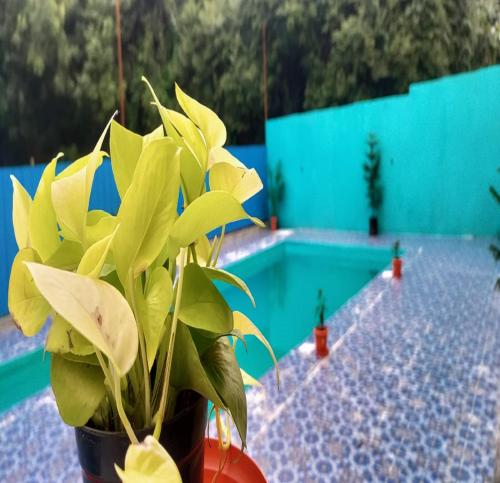 هتل Auro Galaxy Pondy With Swimming Pool