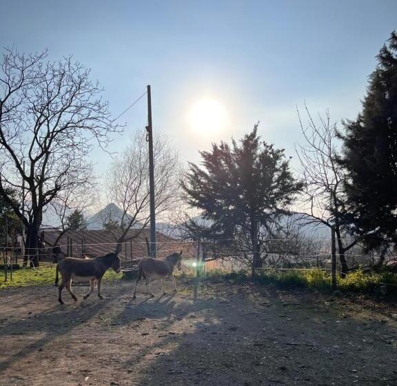 ホテル Azienda Agricola Zootecnica Soriente Di Guglielmo Areh Soriente & C.s.a.s