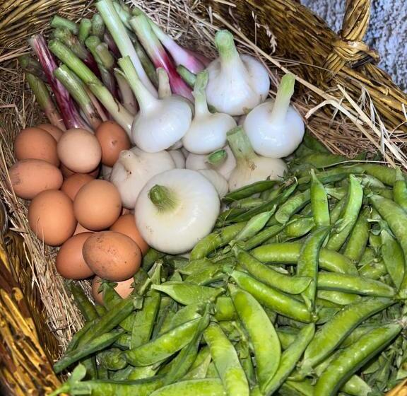 ホテル Azienda Agricola Zootecnica Soriente Di Guglielmo Areh Soriente & C.s.a.s