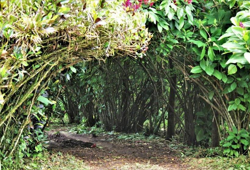 فندق Itapoa Reserve