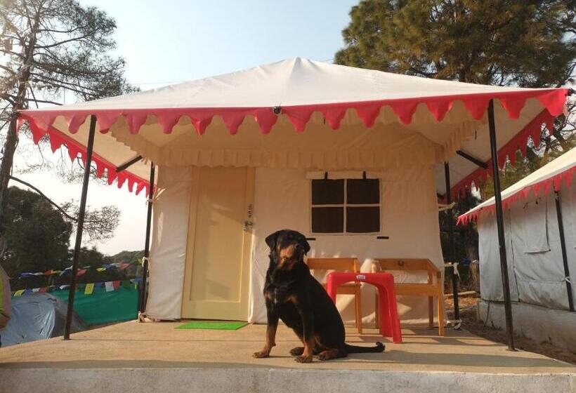 فندق Nirvana Eco Camp, Bir