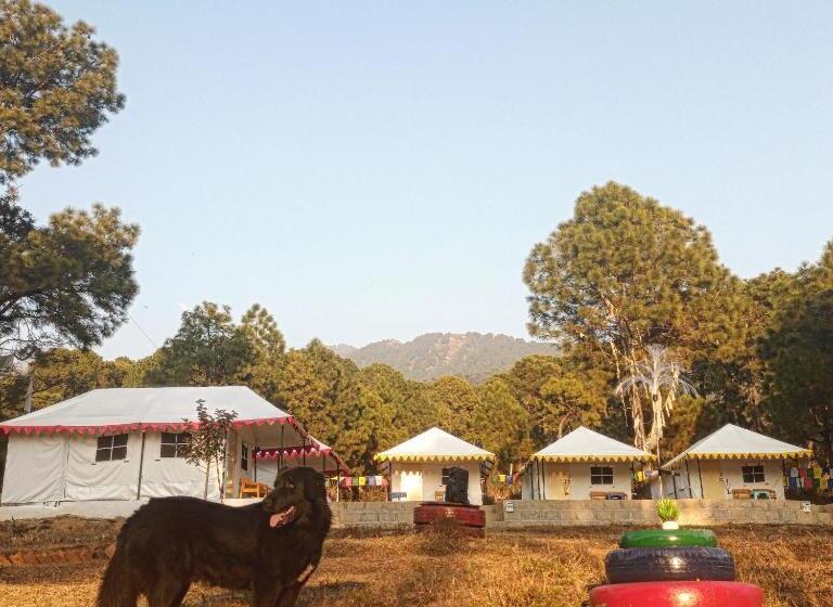 فندق Nirvana Eco Camp, Bir