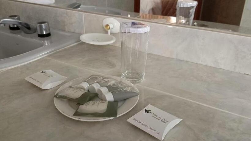 هتل Viña Del Sur