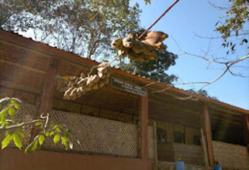 بنسيون Risong Family Guest Gouse Majuli