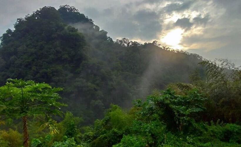 تختخواب و صبحانه Sunlight Forest