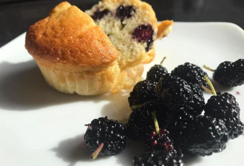 فندق Tenuta Le Mandorlaie, Agriturismo In Scansano