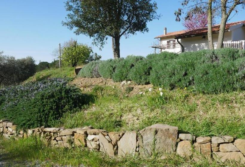 فندق Tenuta Le Mandorlaie, Agriturismo In Scansano