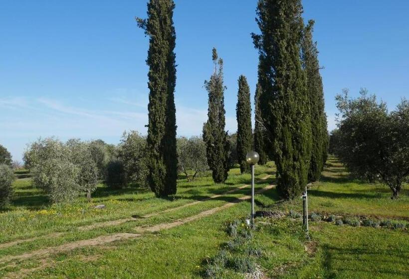 فندق Tenuta Le Mandorlaie, Agriturismo In Scansano