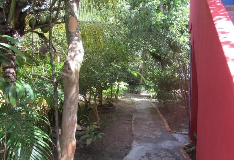 بنسيون A Casa Do Vizinho