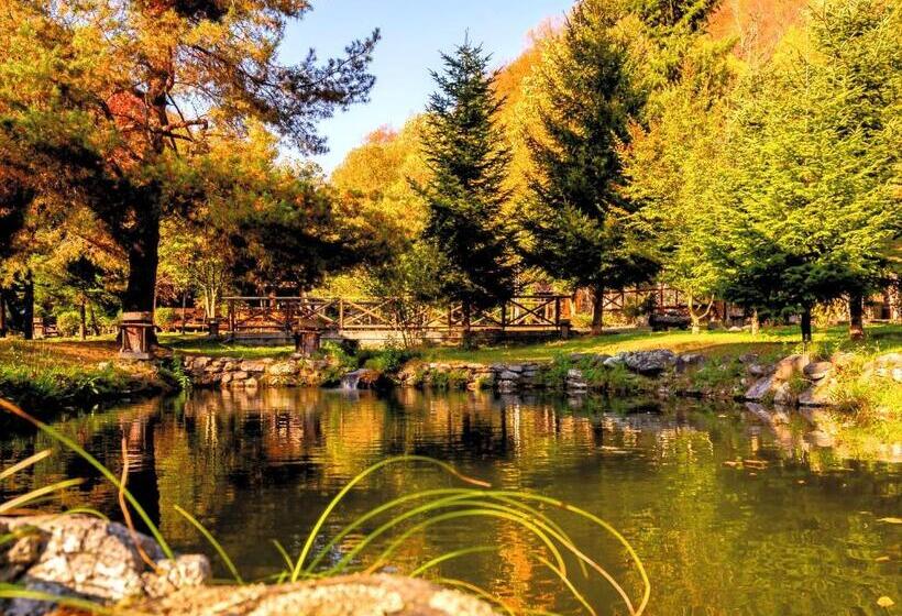 پانسیون Frații Jderi   Utopia Verde