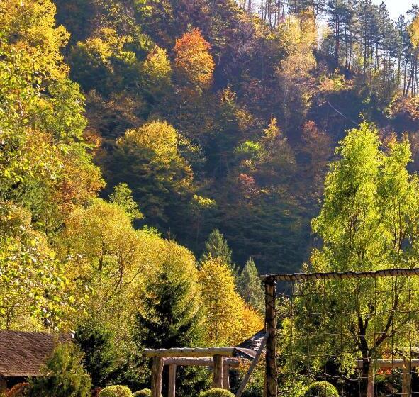 پانسیون Frații Jderi   Utopia Verde