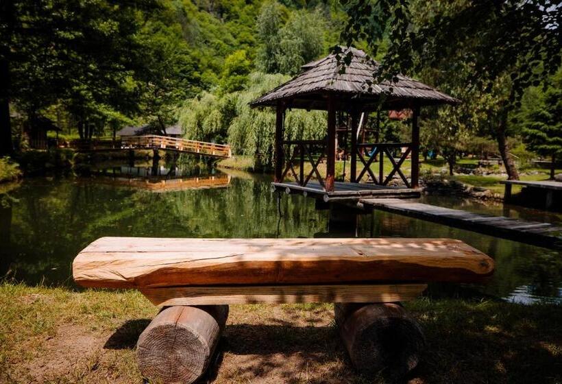 پانسیون Frații Jderi   Utopia Verde