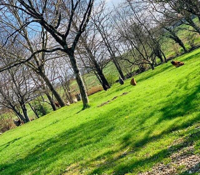 פנסיון La Maison D  Hote Du Fond Du Riu