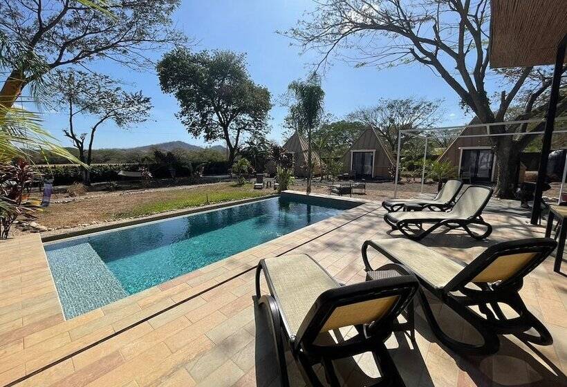 膳宿费 Pyramid Lodge Panoramique
