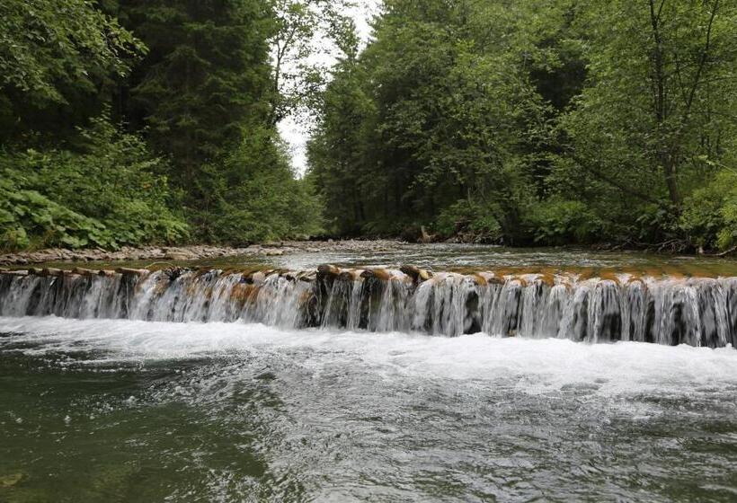 بنسيون Vila Evergreen