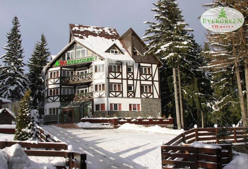 بنسيون Vila Evergreen