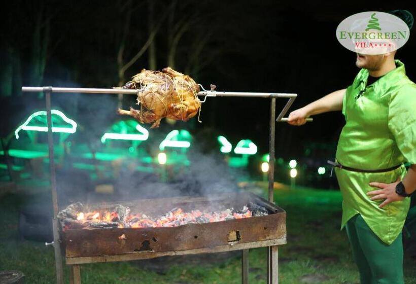 بنسيون Vila Evergreen