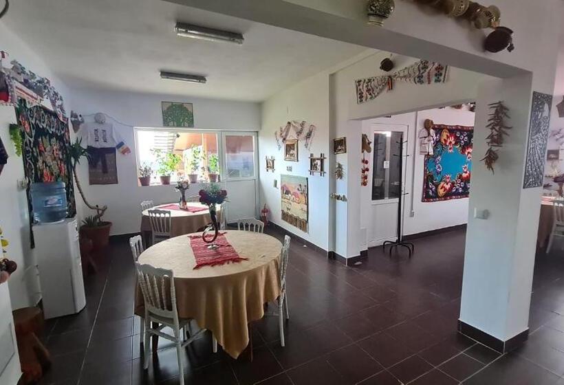 Pensiunea Runcu Stone