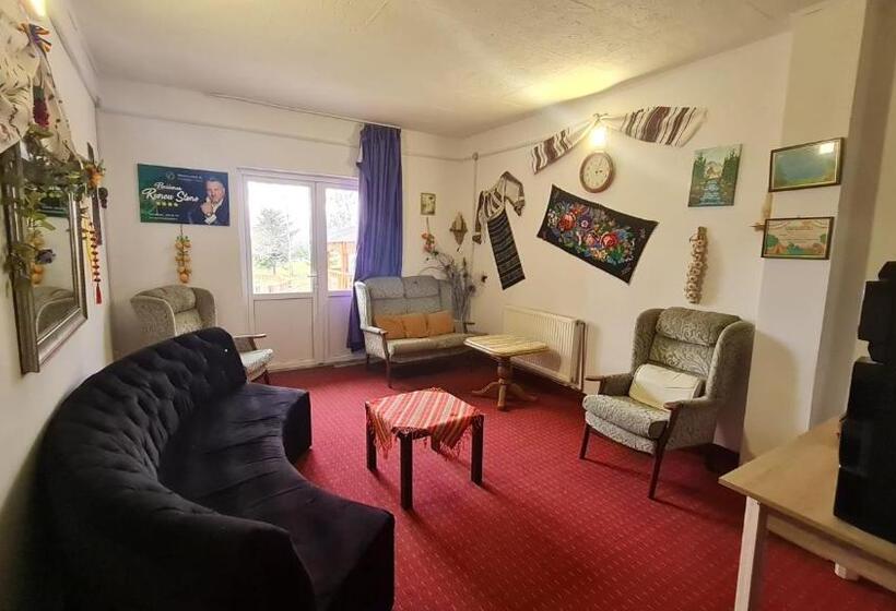 Pensiunea Runcu Stone