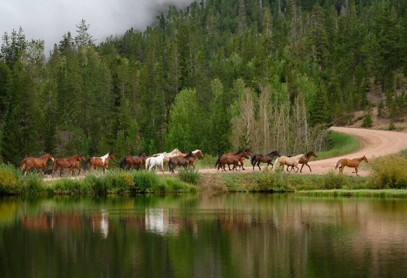 酒店 Beaver Meadows Resort Ranch