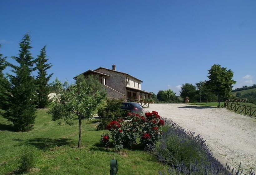 교외 호텔 Agriturismo Casale Mulinaccino