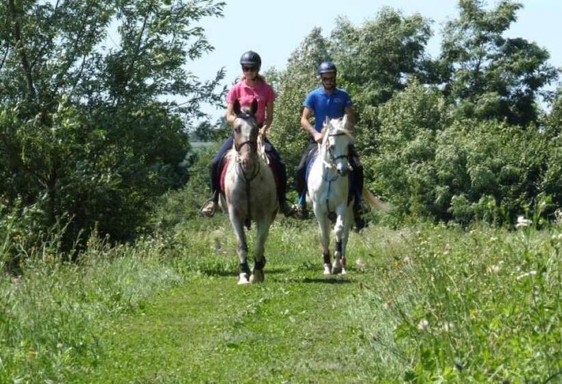 פנסיון Tiny House Ambar