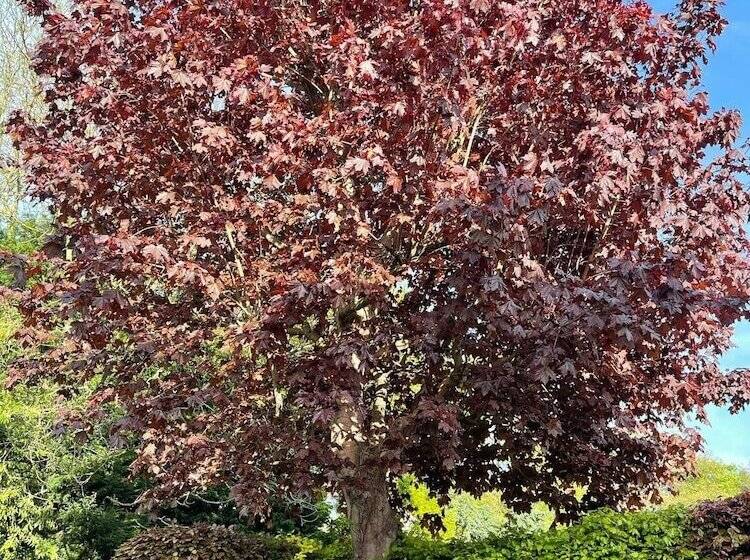 إقامة 4 Bed House In Wetherby, Sleeps 8, Near York