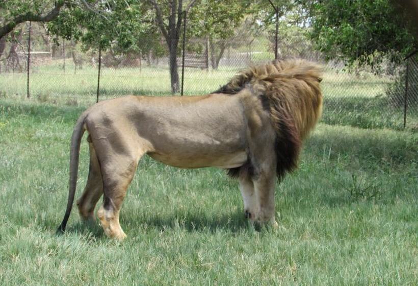 Amanzimlotzi Riverside Bush Camp