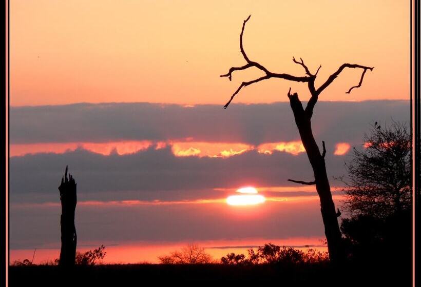 Amanzimlotzi Riverside Bush Camp