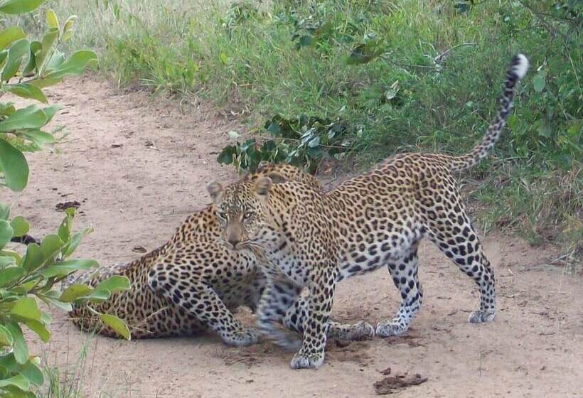 Amanzimlotzi Riverside Bush Camp